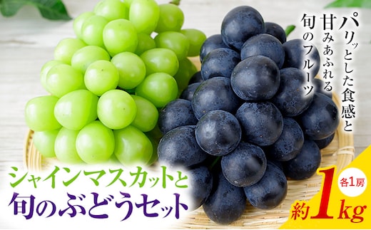 【2026年発送】シャインマスカット ぶどう 岡山県産 シャインマスカットと旬のぶどうセット 約1kg 2房 Grapes garden goat《2026年8月中旬～10月上旬頃に出荷予定(土日祝除く)》岡山県矢掛町 葡萄 果物 優品 スイーツ フルーツ デザート---osy_cgggwg_g810_26_13500_1---