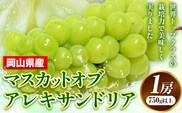 【先行予約】 岡山県産 マスカットオブアレキサンドリア 1房 (750g以上) 【配送不可地域あり】 《7月上旬-8月下旬頃出荷》 岡山県 矢掛町 果物 フルーツ ぶどう 葡萄 送料無料 ---osy_chbf8_ak7_26_21500_1---