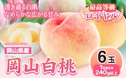 【先行予約】 岡山県産 岡山白桃  6玉 (240g以上) 【配送不可地域あり】 《7月上旬-8月下旬頃出荷》 桃 岡山県 桃 矢掛町 桃 桃 もも 桃 白桃 桃 果物 桃 岡山県産 桃 モモ 桃 6玉 桃---osy_chbf3_ak7_26_23000_6---