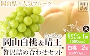 【先行予約】 岡山白桃 & シャインマスカット（晴王）セット【配送不可地域あり】 《7月上旬-8月中旬頃出荷》 岡山県 矢掛町 フルーツセット 桃 白桃 もも フルーツセット 岡山白桃 シャインマスカット フルーツセット マスカット フルーツセット ぶどう 晴王 フルーツセット ---osy_chbf31_ae7_26_27500_ms---