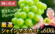 【2026年出荷先行予約】 厳選 シャインマスカット 約600g 《2026年9月上旬-11月中旬頃に出荷予定(土日祝除く)》 ぶどう マスカット フルーツ 先行予約 果物 岡山 不揃い 晴王 ブドウ 厳選シャイン 先行予約 お手頃---ofn_cwsmx_ae911_26_10000_h6---
