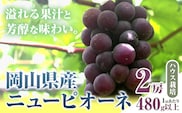 【先行予約】 岡山県産 ニューピオーネ 2房 480g以上 ハウス栽培 葡萄 果物 厳選出荷 スイーツ フルーツ デザート 岡山県矢掛町《7月上旬-8月下旬頃出荷》 種なしぶどう 【配送不可地域あり】---osy_chbf20_ak7_26_18000_2---