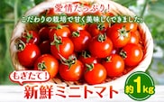 ミニトマト 約1kg 出原農園 《1月上旬-5月末頃出荷》 岡山県 矢掛町 野菜 ミニトマト もぎたて 新鮮---osy_iktmt_af15_24_8500_1---