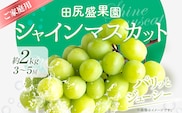 【先行予約】 ご家庭用 シャインマスカット2kg(3～5房)《2026年8月下旬-9月中旬頃出荷》田尻盛果園 フルーツ 果物 マスカット ぶどう---osy_ctajihsm_h8_24_13500_12---