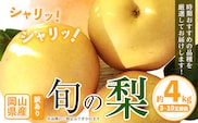 【先行予約】訳あり 岡山県産 旬の梨 約4kg 3～10玉前後 梨 訳あり 優品 新高 愛宕 王秋梨 鴨梨 スイーツ フルーツ デザート 旬 岡山県矢掛町《9月上旬-1月末頃に出荷予定》数量限定---ofn_wsnx_af91_25_17500_4kg---