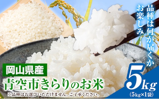 令和7年産 青空市きらり 5kg 岡山県産 (品種はお選びいただけません) 青空市きらり《30日以内に発送予定(土日祝除く)》岡山県 矢掛町 白米 精米 米 コメ---osy_akak_30d_25_17000_5kg---