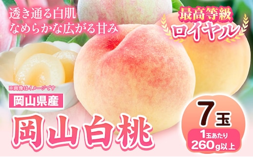 【先行予約】 岡山県産 岡山白桃 7玉 (260g以上) 【配送不可地域あり】 《7月上旬-8月下旬頃出荷》 岡山県 矢掛町 桃 もも 白桃 果物---osy_chbf1_ak7_26_29000_7---