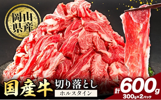 牛肉 肉 国産牛 切り落とし ホルスタイン 大容量 小分け 600g(300g×2) 《30日以内に出荷予定(土日祝除く)》岡山県産 岡山県 矢掛市 お肉 にく カレー 牛丼 牛肉 切り落し 小分け 切落し 牛肉 小分け 牛肉---yakage_lcl_85_26---