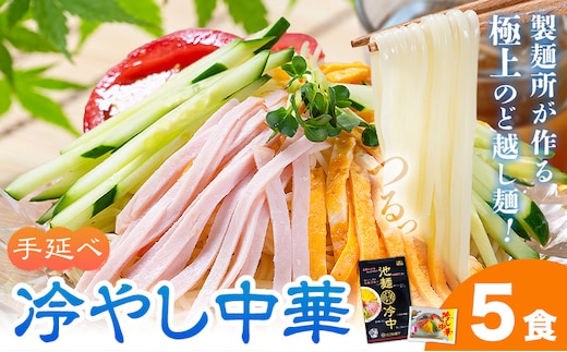 冷やし中華 5食セット(麺80g×5束、スープ5袋) スープ付き 池田製麺所《30日以内に出荷予定(土日祝除く)》岡山県 矢掛町 中華麺 手延べ 冷やし中華専用麺 送料無料---ofn_ikdthn_30d_25_8500_5---