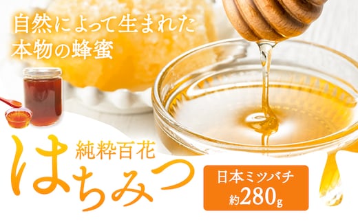 純粋百花 はちみつ 日本ミツバチ 有限会社ホクト 《30日以内に出荷予定(土日祝除く)》岡山県 矢掛町 はちみつ ハチミツ トースト 蜂蜜---osy_hktjh_30d_24_12000_280---
