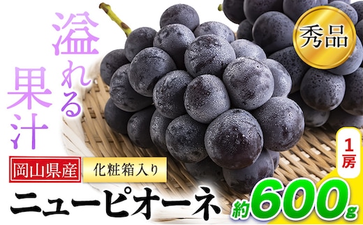 秀品 ニューピオーネ 約600g 1房 《8月下旬-10月中旬頃出荷》 ピオーネ ニューピオーネ ---ofn_cssm_h810_26_15500_1---