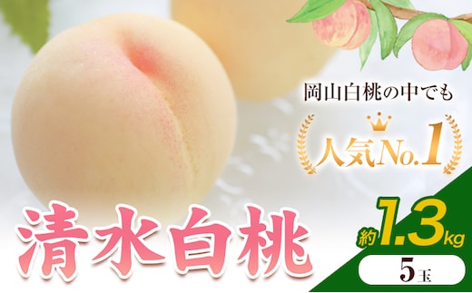 【2026年発送先行予約】清水白桃 5玉 1.3kg 内容量 晴れの国おかやま館《2026年7月下旬-8月上旬頃出荷》 白桃 フルーツ 果物 岡山県 矢掛町 桃 モモ もも 送料無料---ofn_choksh_l7_25_24500_13---