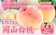 【先行予約】 岡山県産 岡山白桃  7玉 (260g以上) 【配送不可地域あり】 《7月上旬-8月下旬頃出荷》 岡山県 矢掛町 桃 もも 白桃 果物---osy_chbf1_ak7_26_29000_7---