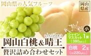 【先行予約】 岡山白桃 & シャインマスカット（晴王）セット 小【配送不可地域あり】 《7月上旬-8月中旬頃出荷》 岡山県 矢掛町 桃 白桃 もも 岡山白桃 シャインマスカット マスカット ぶどう 晴王---osy_chbf30_ae7_26_19500_ss---