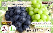 【先行予約】 岡山県産 つる付き！ニューピオーネ 2房 1房あたり580g & シャインマスカット 1房 580g セット ハウス栽培【配送不可地域あり】ニューピオーネ シャインマスカット《7月上旬-8月中旬頃出荷》 岡山県 矢掛町 晴王 ぶどう 詰め合わせ 果物---osy_chbf36_ae7_26_32500_s---