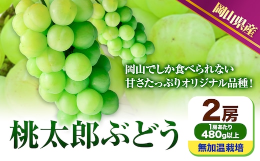 【先行予約】 岡山県産 桃太郎ぶどう 2房 (480g以上) 無加温栽培【配送不可地域あり】加温栽培《9月上旬-10月下旬頃出荷》無加温栽培 岡山県 矢掛町 ぶどう 葡萄 果物---osy_chbf7_ak9_26_23000_2---