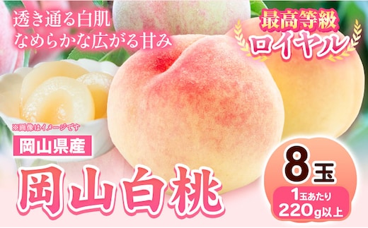 【先行予約】 岡山県産 岡山白桃 8玉 (220g以上)【配送不可地域あり】 《7月上旬-8月下旬頃出荷》 岡山県 矢掛町 桃 もも 白桃 果物---osy_chbf2_ak7_26_24500_8---