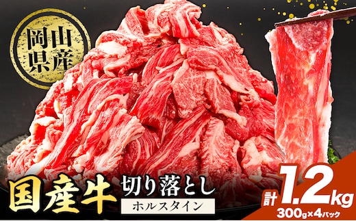 牛肉 肉 国産牛 切り落とし ホルスタイン 大容量 小分け1.2kg(300g×4) 《30日以内に出荷予定(土日祝除く)》岡山県産 岡山県 矢掛市 お肉 にく カレー 牛丼 牛肉 切り落し 小分け 切落し 牛肉 小分け 牛肉---yakage_lcl_88_26---