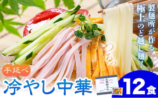 冷やし中華 12食セット(麺80g×12束、スープ12袋) スープ付き 池田製麺所《30日以内に出荷予定(土日祝除く)》岡山県 矢掛町 中華麺 手延べ 冷やし中華専用麺 送料無料---ofn_ikdthn_30d_25_11000_12---