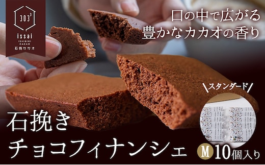 石挽きチョコフィナンシェ M 10個 石挽きカカオissai 岡山県矢掛町 チョコレート スイーツ デザート《30日以内に出荷予定(土日祝除く)》---osy_icicf_30d_25_13000_10---