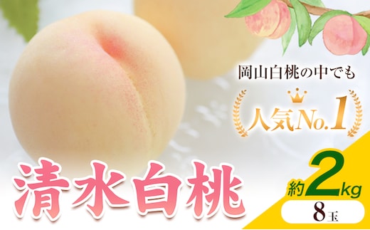 【2026年発送先行予約】清水白桃 8玉 約2kg 内容量 晴れの国おかやま館《2026年7月下旬-8月上旬頃出荷》 白桃 フルーツ 果物 岡山県 矢掛町 桃 モモ もも 送料無料---ofn_choksh_l7_25_38500_20---
