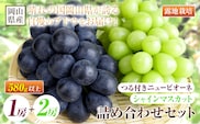 【先行予約】 岡山県産 つる付き！ニューピオーネ 1房 580g & シャインマスカット 2房 1房あたり580g セット 露地栽培【配送不可地域あり】ニューピオーネ シャインマスカット《9月上旬-10月下旬頃出荷》 岡山県 矢掛町 晴王 ぶどう 詰め合わせ 果物---osy_chbf40_ak9_26_32500_s---