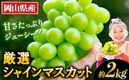 【2026年発送先行予約】厳選 シャインマスカット 約2kg 3～4房《2026年9月上旬-11月中旬に出荷予定(土日祝除く)》 シャインマスカット 数量限定 厳選 シャインマスカット マスカット シャイン ぶどう シャインマスカット フルーツ 岡山県産 シャインマスカット 矢掛 シャインマスカット ---ofn_cwsmx_ae911_26_19000_2---