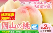 桃 岡山県産 岡山の桃 約2kg 《1-5営業日以内に発送（土日祝除く）》 岡山県 矢掛町 厳選出荷 白桃 黄桃 はなよめ 日川白鳳 白鳳 清水白桃 おかやま夢白桃 川中島白桃 白皇 黄金桃 果物 フルーツ 桃 ---yakage_loc_23_h---