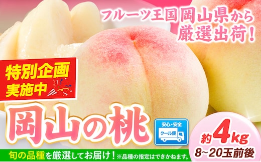 桃 岡山県産 岡山の桃 約4kg 《最短翌日発送！1-5営業日以内に出荷（土日祝除く）》 岡山県 矢掛町 厳選出荷 白桃 黄桃 はなよめ 日川白鳳 白鳳 清水白桃 おかやま夢白桃 川中島白桃 白皇 黄金桃 果物 フルーツ 桃 ---yakage_loc_24_h---
