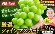 【2026年発送先行予約】9月10月定期便 厳選 シャインマスカット 計約2.6kg 定期便 2か月 ぶどう 1位 マスカット フルーツ 数量限定 果物 岡山 厳選 シャインマスカット ブドウ シャイン 《2026年9月上旬-11月中旬頃出荷》---ofn_cwsmxtei_26_27000_sep2---