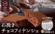 石挽きチョコフィナンシェ L 15個 石挽きカカオissai 岡山県矢掛町 チョコレート スイーツ デザート《30日以内に出荷予定(土日祝除く)》---osy_icicf_30d_25_18000_15---