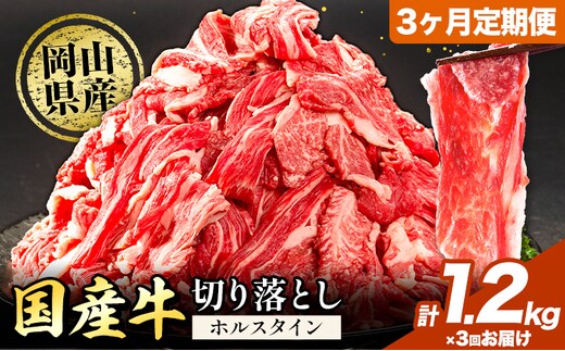 【3ヶ月定期便】牛肉 肉 国産牛 切り落とし ホルスタイン 大容量 小分け 1.2kg(300g×4)《お申込み月の翌月から出荷開始》岡山県産 岡山県 矢掛市 お肉 にく カレー 牛丼 牛肉 切り落し 小分け 切落し 牛肉 小分け 牛肉---yakage_lcl_89_26---