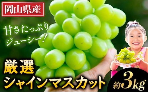 【2026年発送先行予約】厳選 シャインマスカット 約3kg《2026年9月上旬～11月中旬頃に出荷予定(土日祝除く)》岡山 シャインマスカット 厳選 シャインマスカット シャインマスカット ブドウ シャインマスカット ---ofn_cwsmx_ae911_26_27000_3---