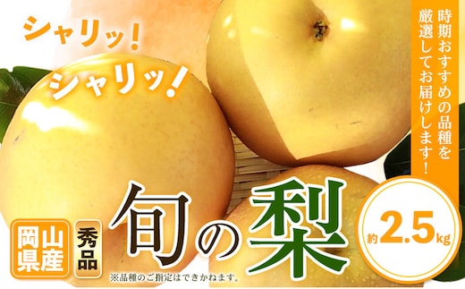 岡山県産 旬の梨 約2.5kg 2～6玉前後 梨 秀品 新高 愛宕 スイーツ フルーツ デザート 旬 岡山県矢掛町《9月上旬-1月末頃に出荷予定》---ofn_ssn_af91_26_15000_25---