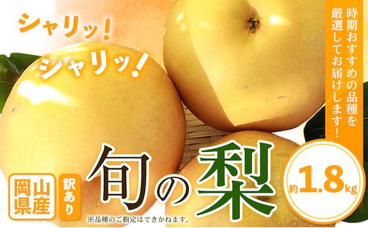 訳あり 岡山県産 旬の梨 約1.8kg 2～5玉前後 梨 訳あり 優品 新高 愛宕 王秋梨 鴨梨 スイーツ フルーツ デザート 旬 岡山県矢掛町《9月上旬-1月末頃に出荷予定》数量限定---ofn_wsn_af91_26_8500_18---