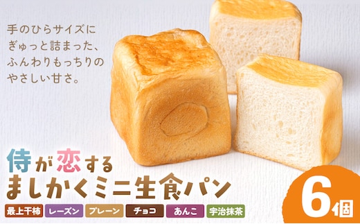 侍が恋する ましかくミニ生食パン 計6個 侍が恋するパン屋《30日以内に出荷予定(土日祝除く)》岡山 矢掛町 パン 食パン スイーツ 最上干柿 レーズン ベーコン プレーン ツナマヨ チョコ コーン あんこ 柚餅子 宇治抹茶 いちご メープル 矢掛の侍イタリアン---osy_fssypan_30d_26_8500_6---