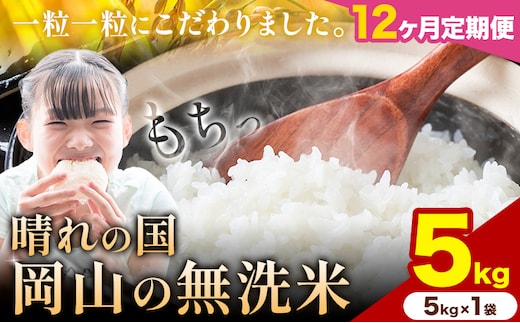 【12ヶ月定期便】晴れの国岡山の無洗米 5kg (5kg×1袋) 岡山県産 無洗米 無洗 米 矢掛町《申し込み翌月から発送》米 コメ---ofn_homtei_25_138000_mo12num1---