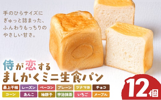 侍が恋する ましかくミニ生食パン 計12個 侍が恋するパン屋《30日以内に出荷予定(土日祝除く)》岡山 矢掛町 パン 食パン スイーツ 最上干柿 レーズン ベーコン プレーン ツナマヨ チョコ コーン あんこ 柚餅子 宇治抹茶 いちご メープル 矢掛の侍イタリアン---osy_fssypan_30d_26_12500_12---
