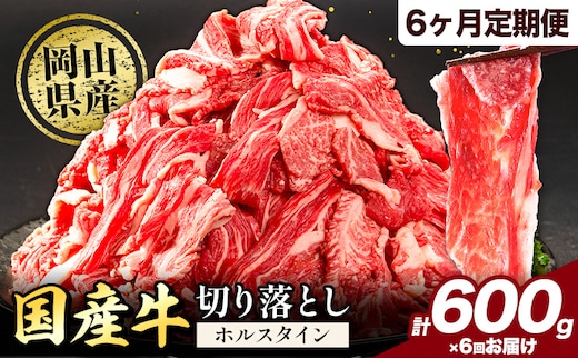 【6ヶ月定期便】牛肉 肉 国産牛 切り落とし ホルスタイン 大容量 小分け 600g(300g×2) 《お申込み月の翌月から出荷開始》岡山県産 岡山県 矢掛市 お肉 にく カレー 牛丼 牛肉 切り落し 小分け 切落し 牛肉 小分け 牛肉---yakage_lcl_87_26---