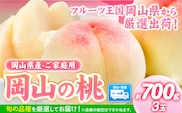 【2026年発送先行予約】桃 岡山県産 岡山の桃 約700g 《2026年6月下旬-9月上旬頃出荷》 岡山県 矢掛町 厳選出荷 白桃 黄桃 はなよめ 日川白鳳 白鳳 清水白桃 おかやま夢白桃 川中島白桃 白皇 黄金桃 果物 フルーツ 桃 ---ofn_cwomx_l69_25_8500_h3---