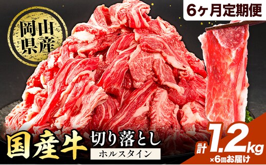【6ヶ月定期便】牛肉 肉 国産牛 切り落とし ホルスタイン 大容量 小分け 1.2kg(300g×4)《お申込み月の翌月から出荷開始》岡山県産 岡山県 矢掛市 お肉 にく カレー 牛丼 牛肉 切り落し 小分け 切落し 牛肉 小分け 牛肉---yakage_lcl_90_26---