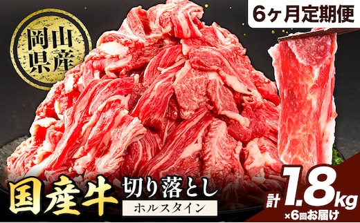 【6ヶ月定期便】牛肉 肉 国産牛 切り落とし ホルスタイン 大容量 小分け 1.8kg(300g×6)《お申込み月の翌月から出荷開始》岡山県産 岡山県 矢掛市 お肉 にく カレー 牛丼 牛肉 切り落し 小分け 切落し 牛肉 小分け 牛肉---yakage_lcl_93_26---