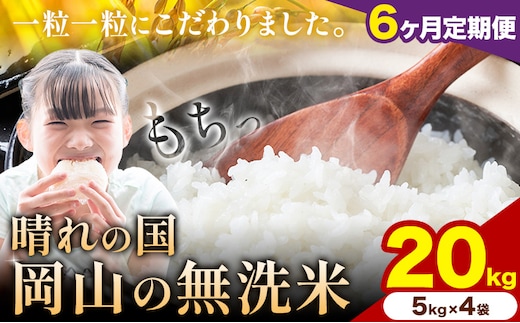 【6ヶ月定期便】晴れの国岡山の無洗米 20kg (5kg×4袋) 岡山県産 無洗米 無洗 米 矢掛町《申し込み翌月から発送》米 コメ---ofn_homtei_25_267000_mo6num1---