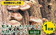 原木しいたけづくり体験チケット(昼食付) 1名様 《30日以内に出荷予定(土日祝除く)》 桃源郷はなしの里 岡山県矢掛町---iosy_togensitake_30d_22_17500_1p---