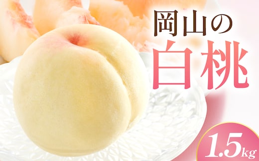 【先行予約】岡山の白桃・晩生 1.5kg箱 9月上旬から順次発送予定