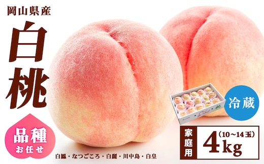 【家庭用】岡山県産 旬の桃 白桃 品種おまかせ 4kg