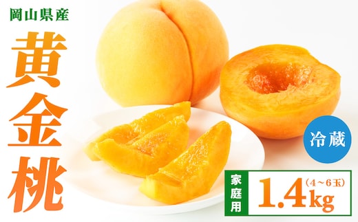 【先行予約】2026年9月発送【家庭用】岡山県産 黄金桃 1.4kg