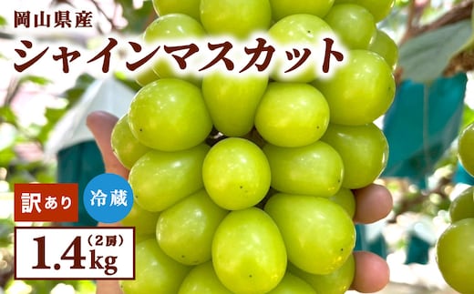 【訳あり】2026年9月発送 岡山県産 シャインマスカット 1.4kg
