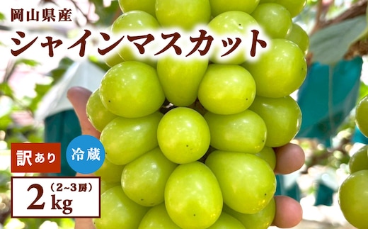 【訳あり】2026年9月発送 岡山県産 シャインマスカット 2kg