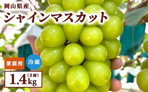 【家庭用】2026年9月発送 岡山県産 シャインマスカット 1.4kg